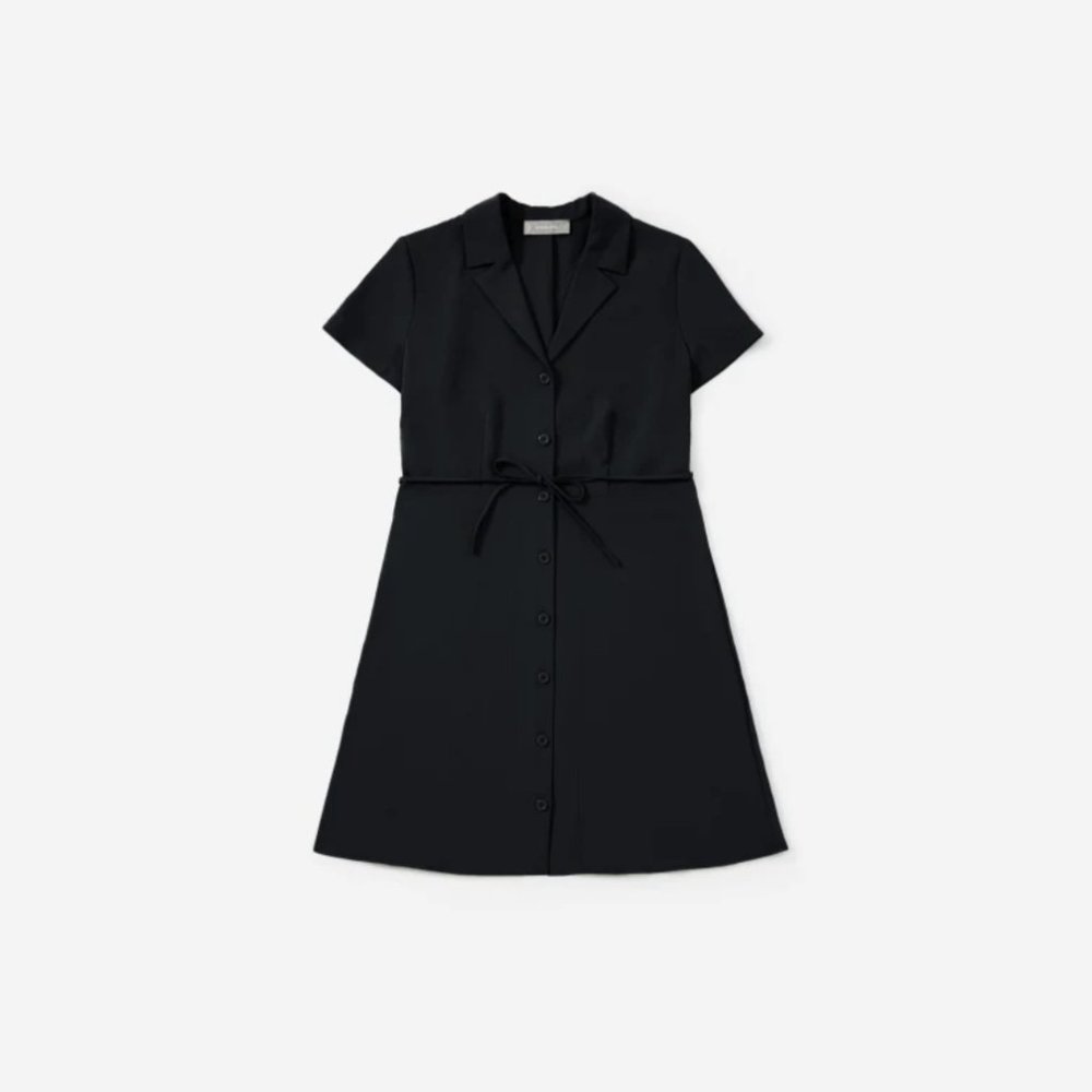 NWT! Everlane | Japanese GoWeave Notch Shirtdress